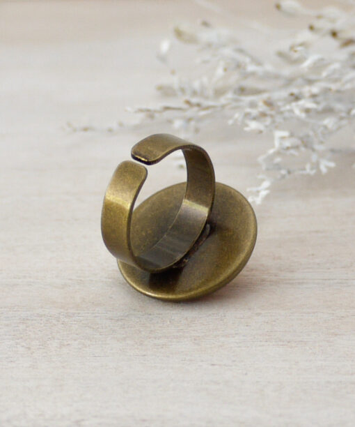 small wooden ring back